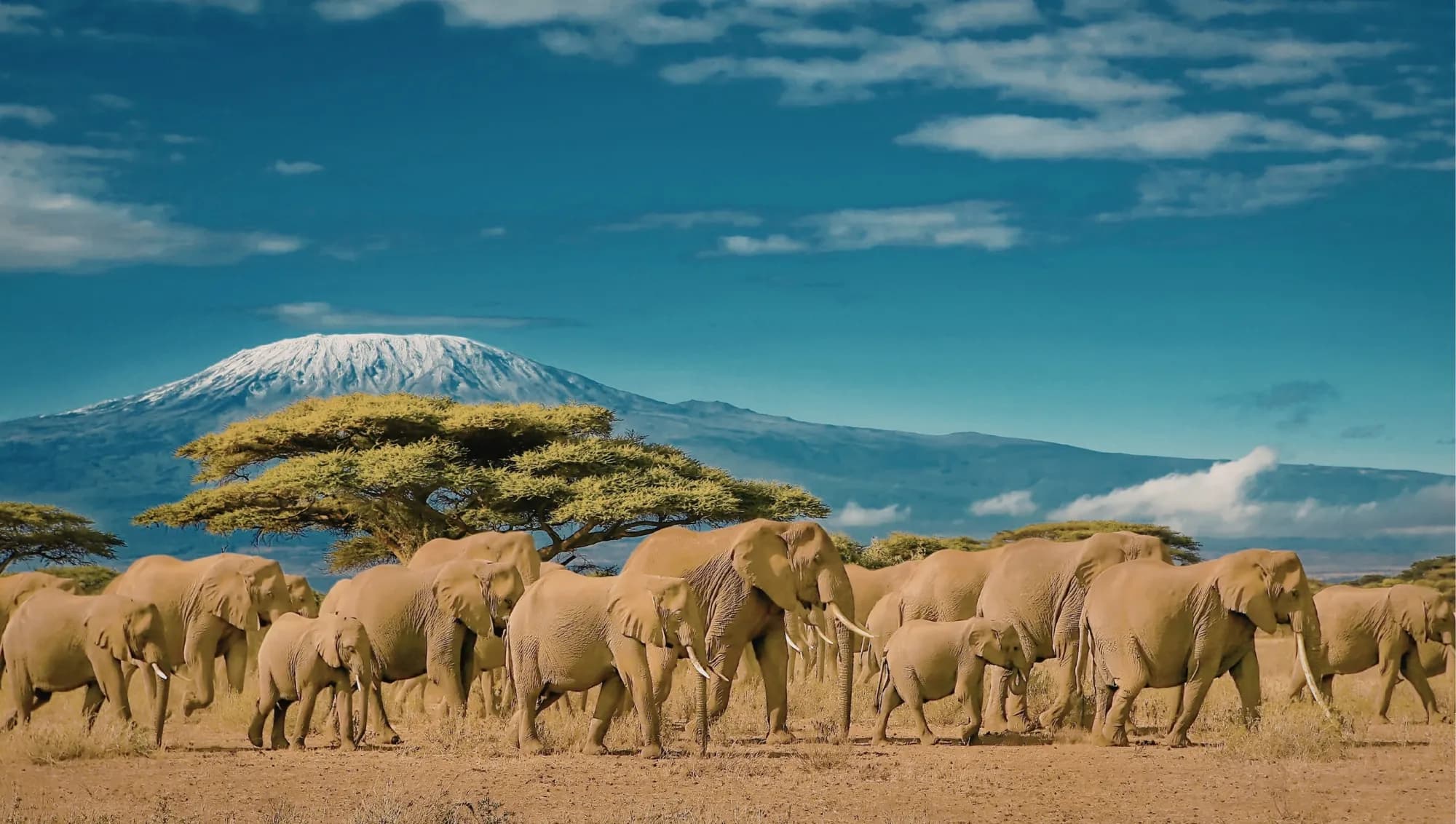 Kilimanjaro's northern side above the dry plains