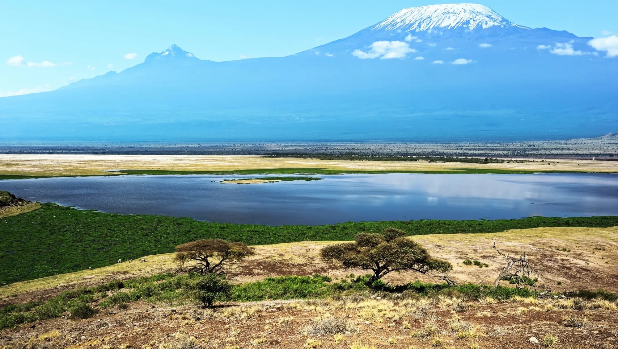 Kilimanjaro at dusk from the eastern plains