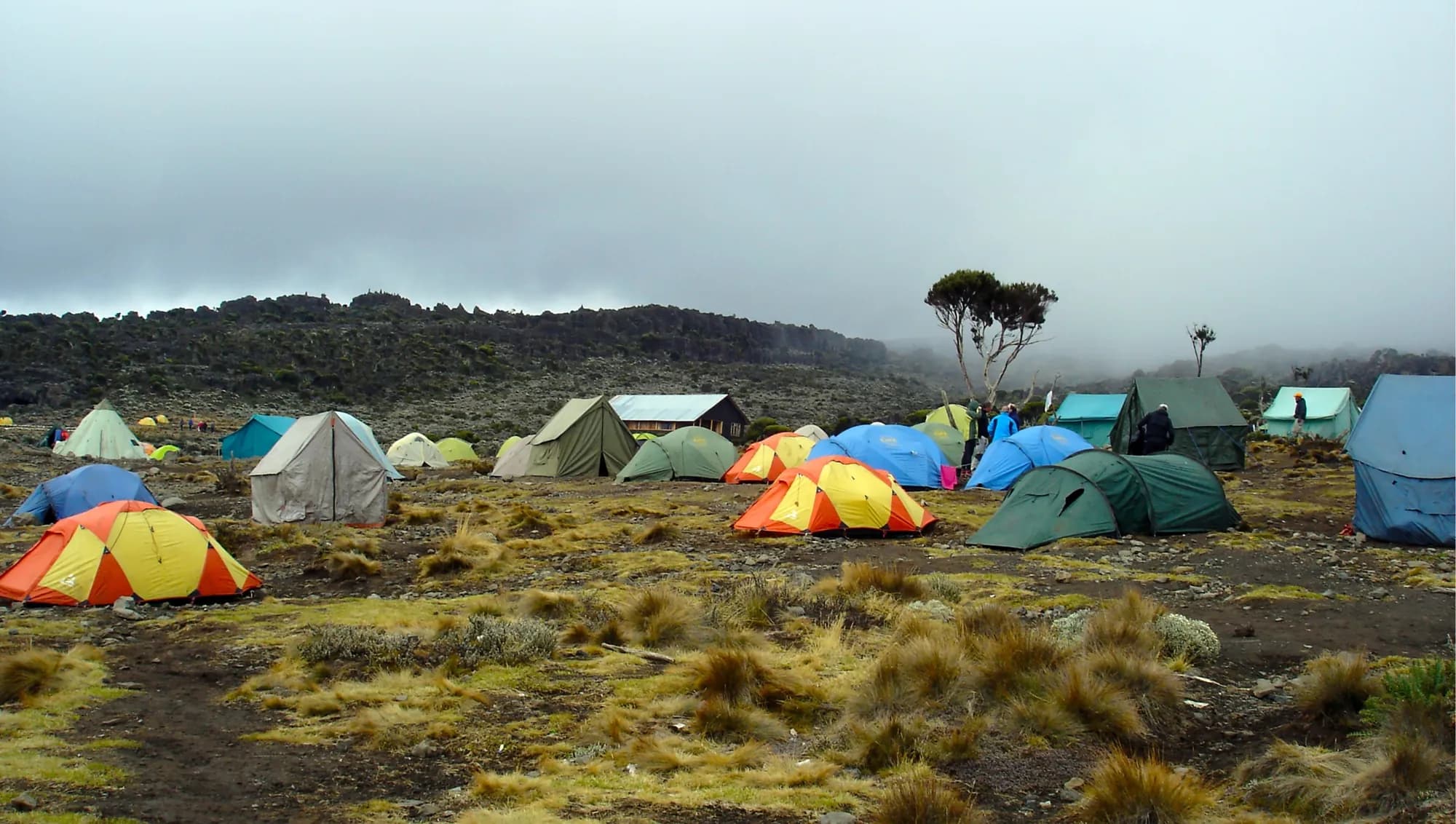 Tents on heather moorland at a Kilimanjaro camp under a cloudy sky
